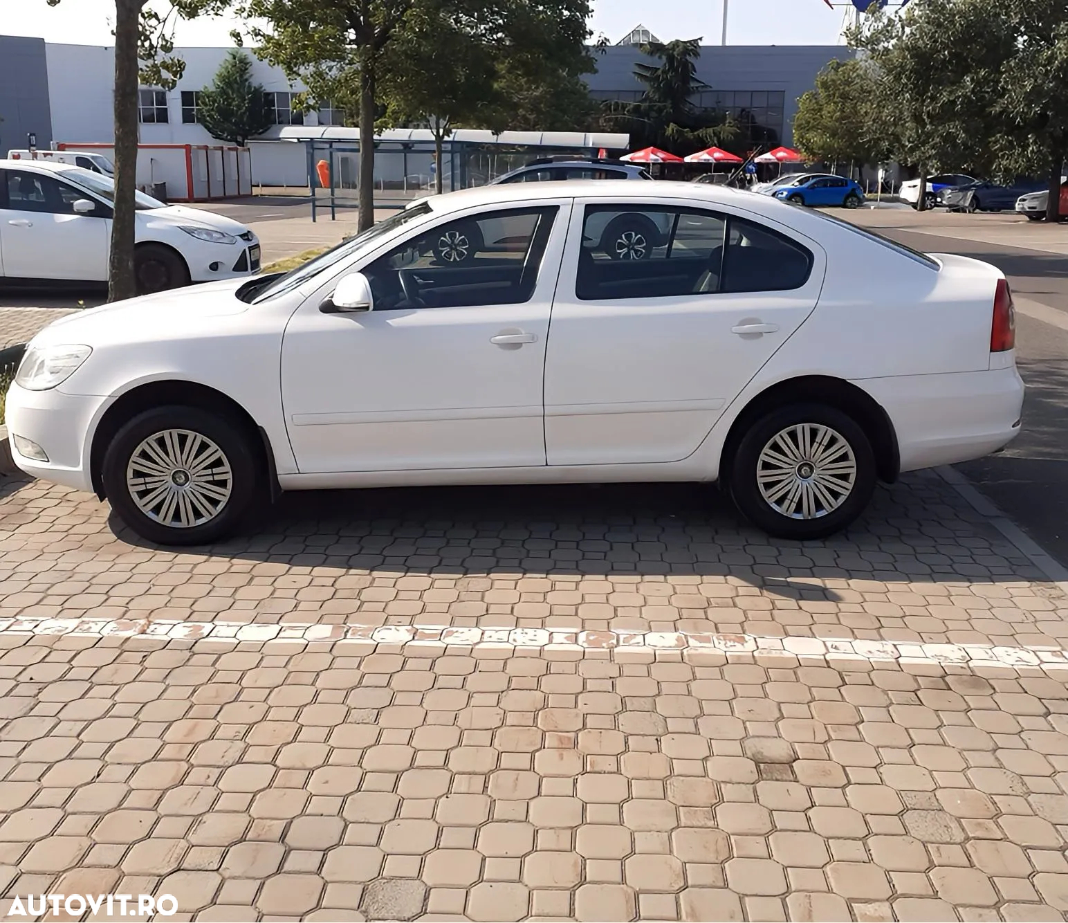 Skoda Octavia 1.9 TDI Business - 2