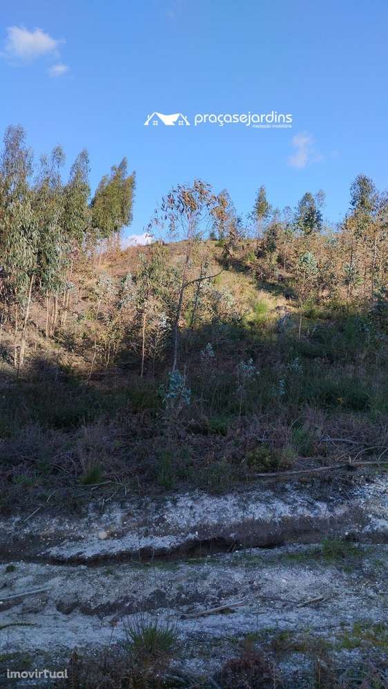 Terreno rustico - Grande imagem: 2/9