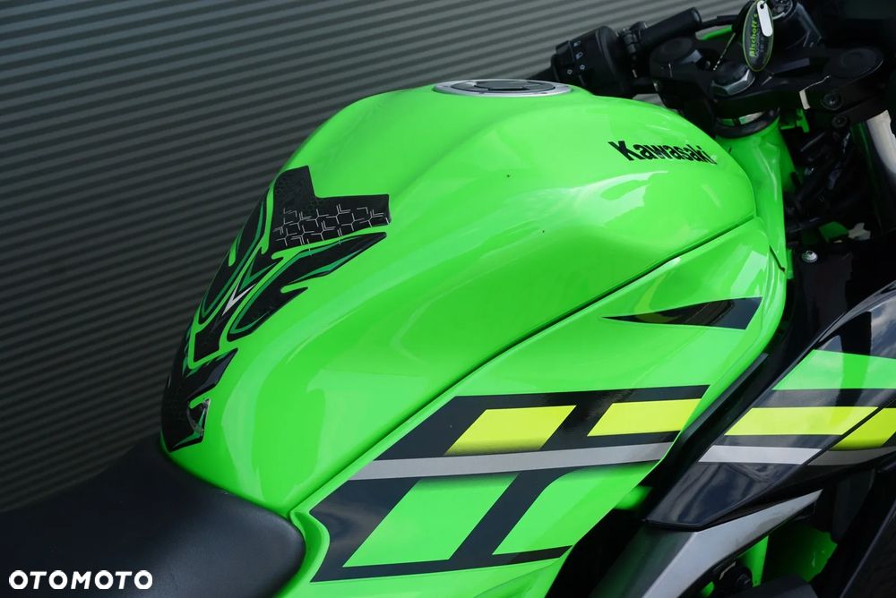 Kawasaki Ninja - 10