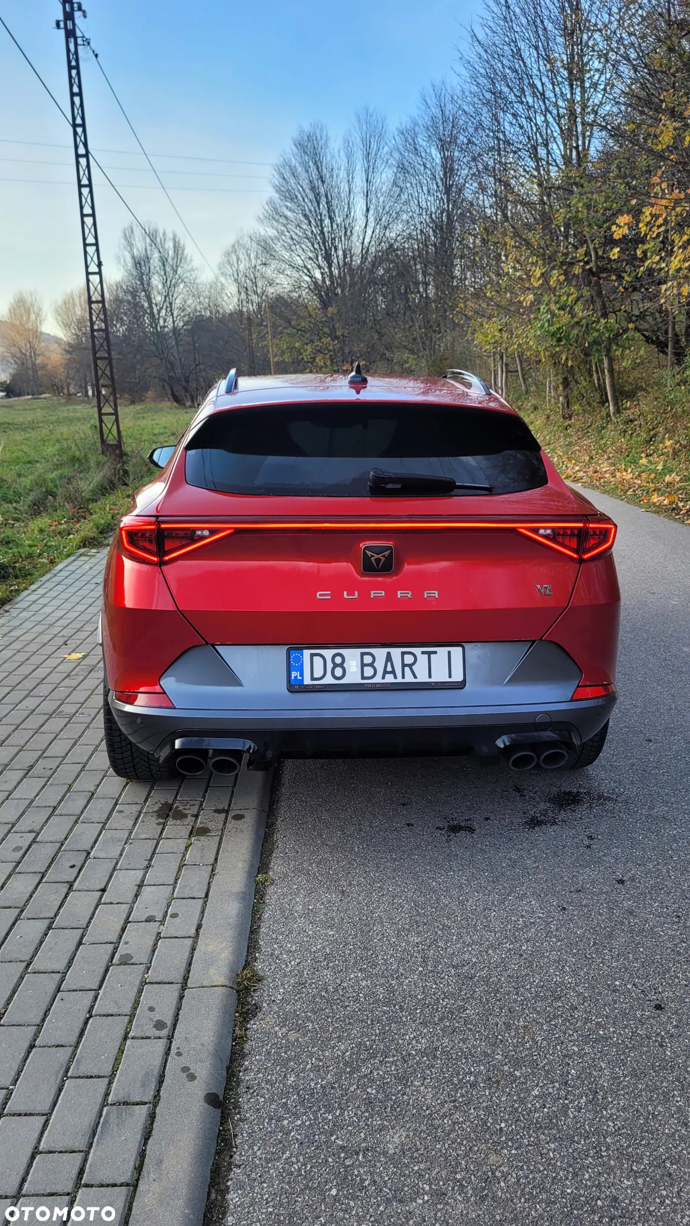 Cupra Formentor 2.0 TSI 4Drive VZ DSG - 4