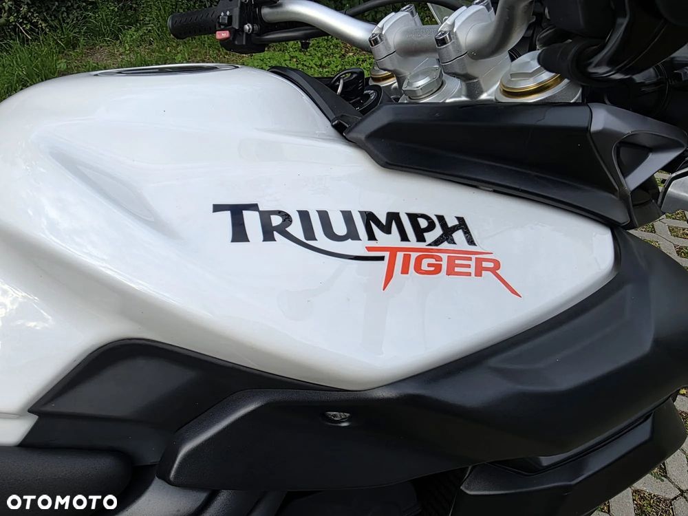 Triumph Tiger - 15