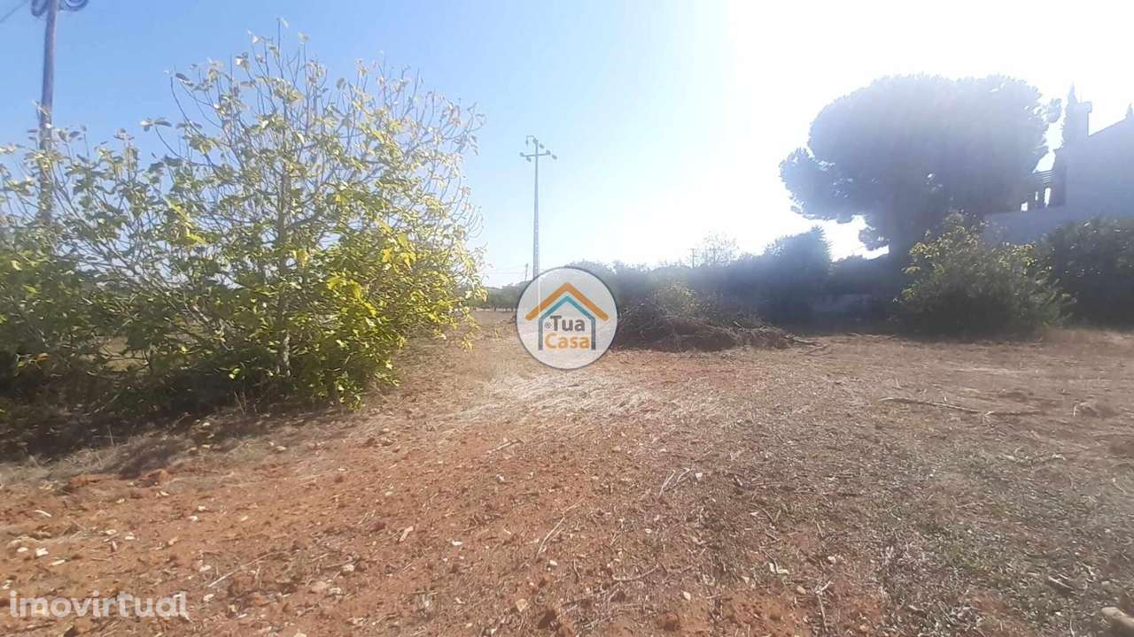 Terreno Rústico na Periferia de São Brás de Alportel - Grande imagem: 3/15