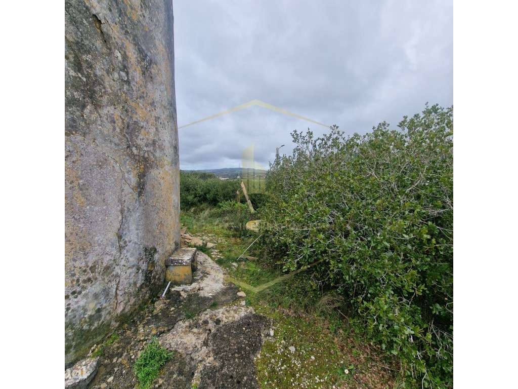 Moinho T1 - Grande imagem: 4/28