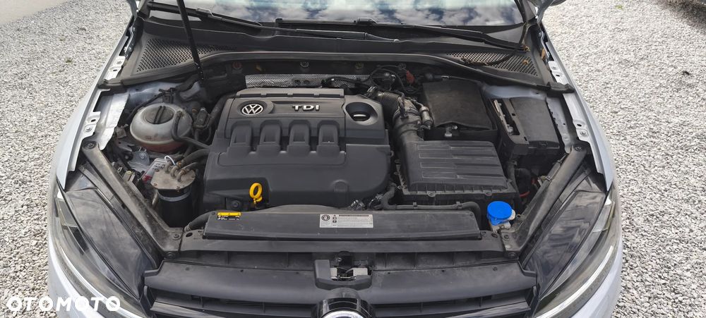 Volkswagen Golf - 26