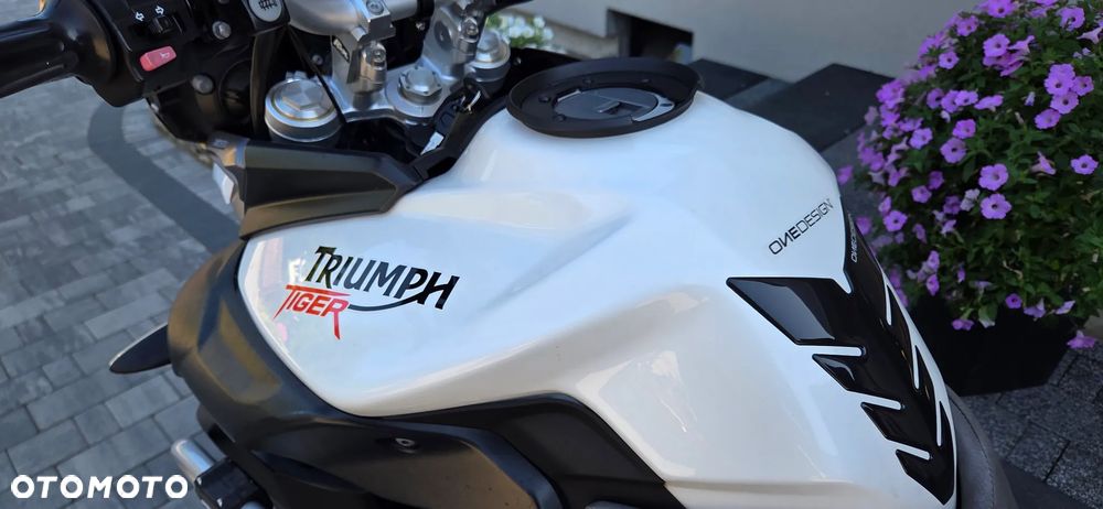 Triumph Tiger - 18