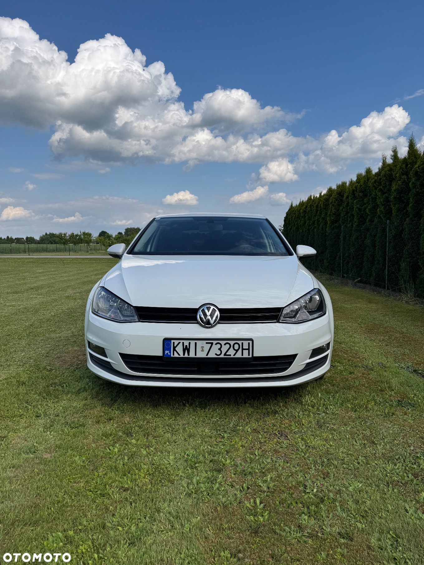 Volkswagen Golf - 4