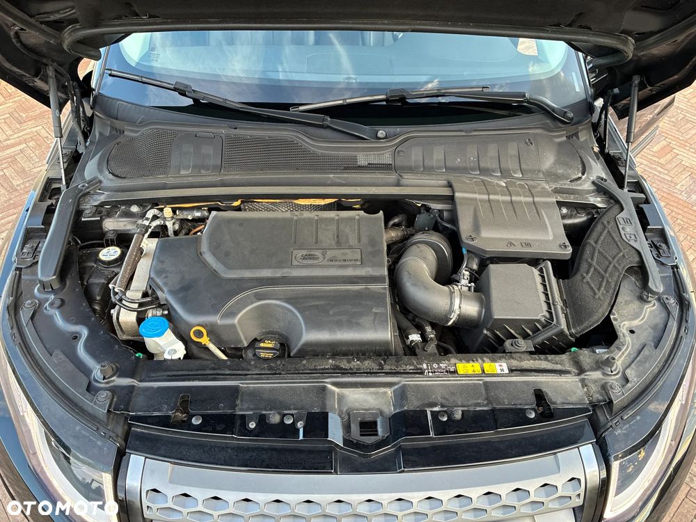Land Rover Range Rover Evoque 2.0Si4 SE Plus / Dynamic - 18