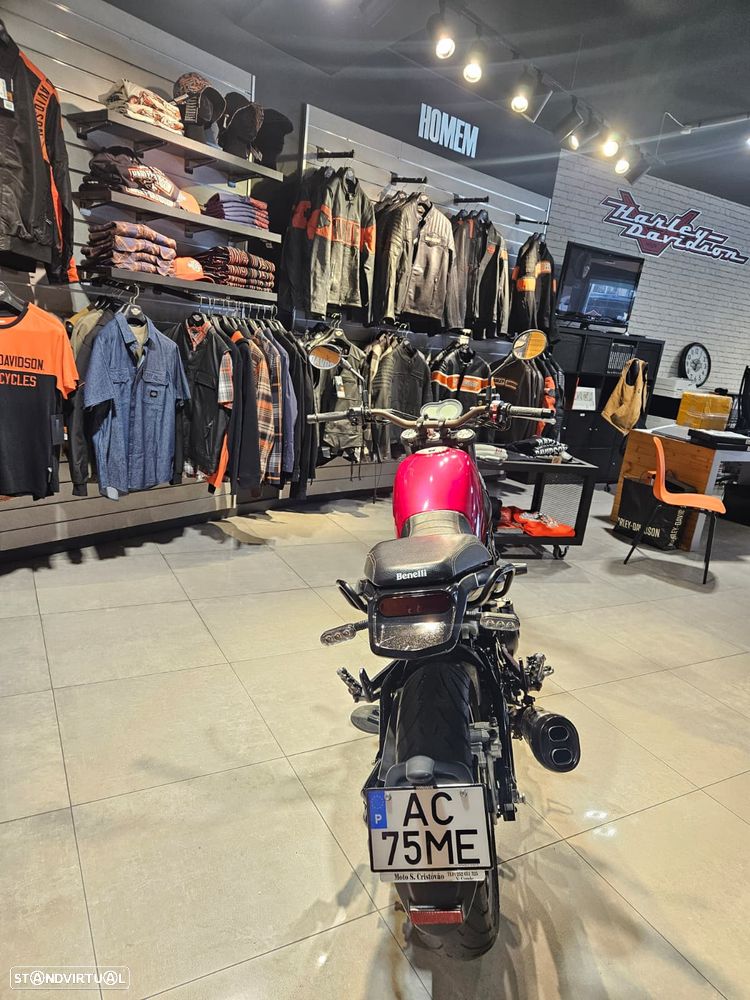 Benelli Leoncino Leoncino 500 - 14