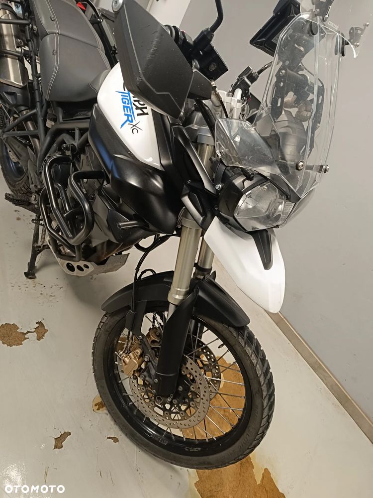 Triumph Tiger - 4