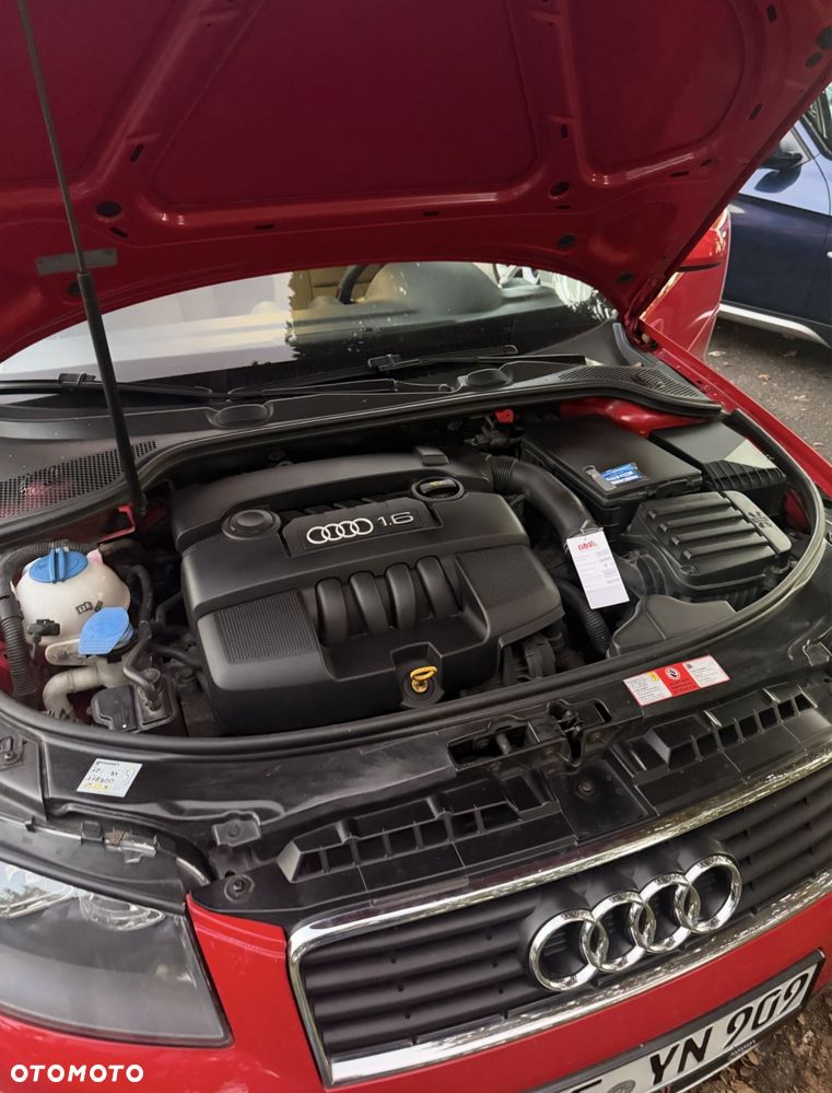 Audi A3 3-drzwiowe 1.6 Attraction - 8