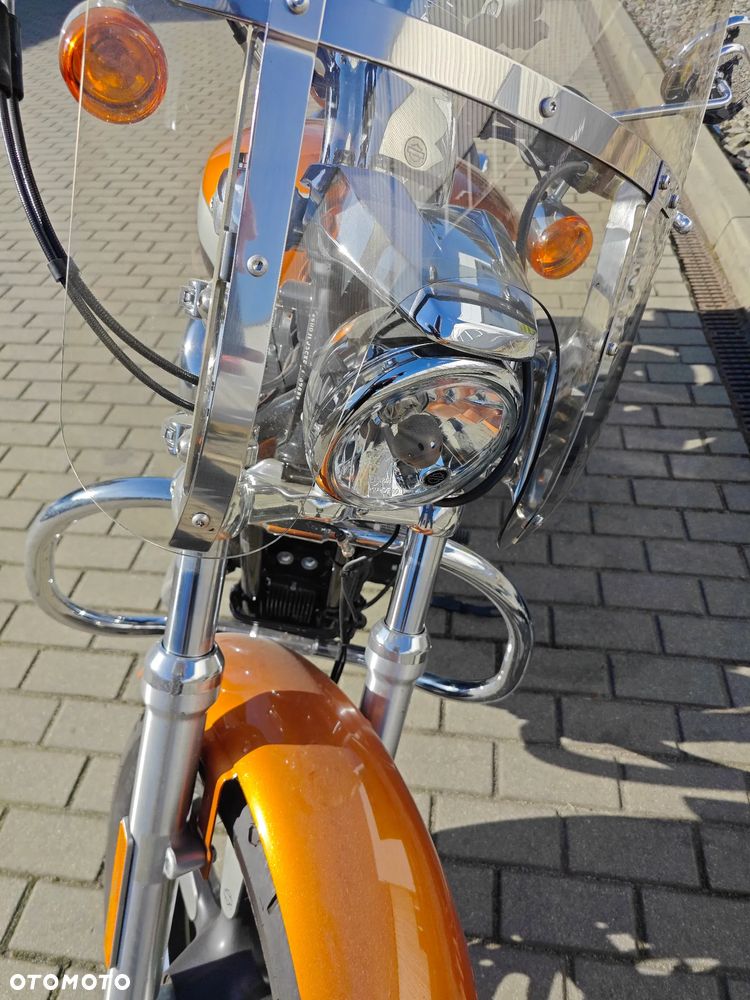 Harley-Davidson Sportster Custom 1200C - 6