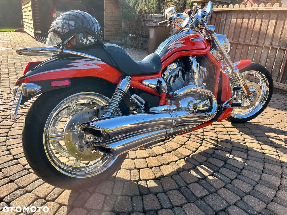 Harley-Davidson Softail V-Rod - 15