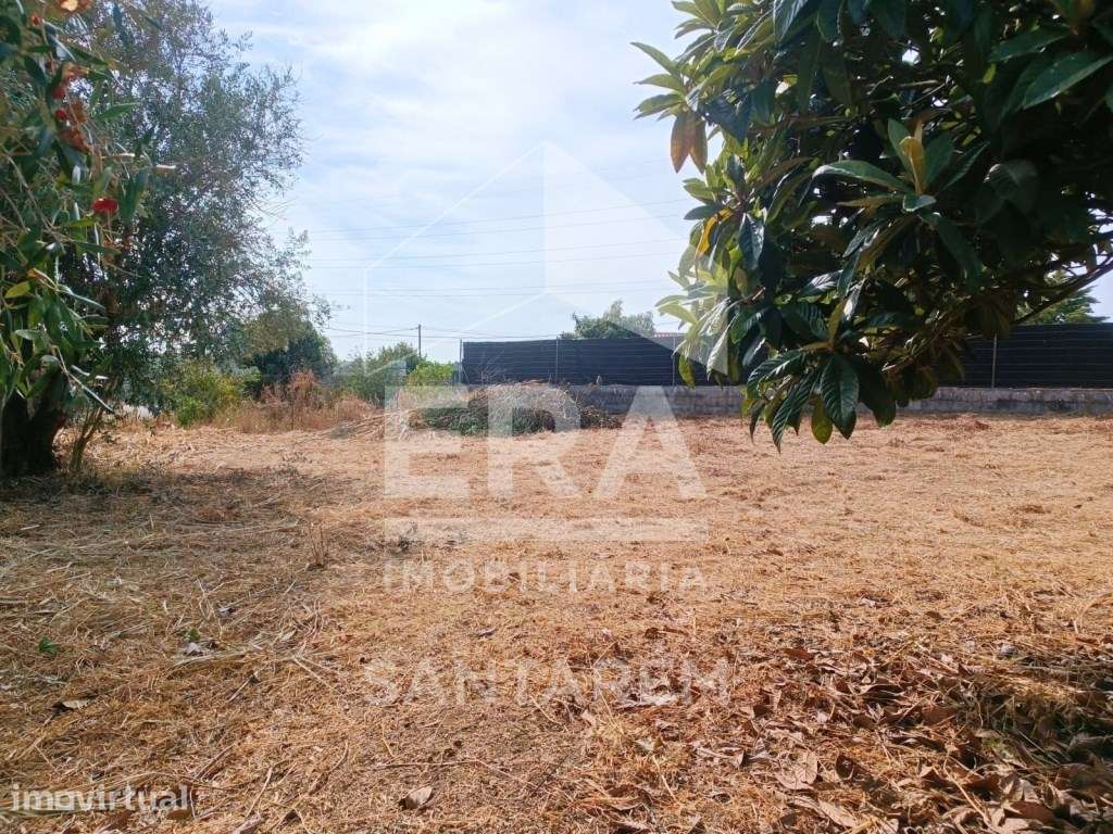 Terreno para venda em Alcanhões - 1.000m² - Grande imagem: 4/6