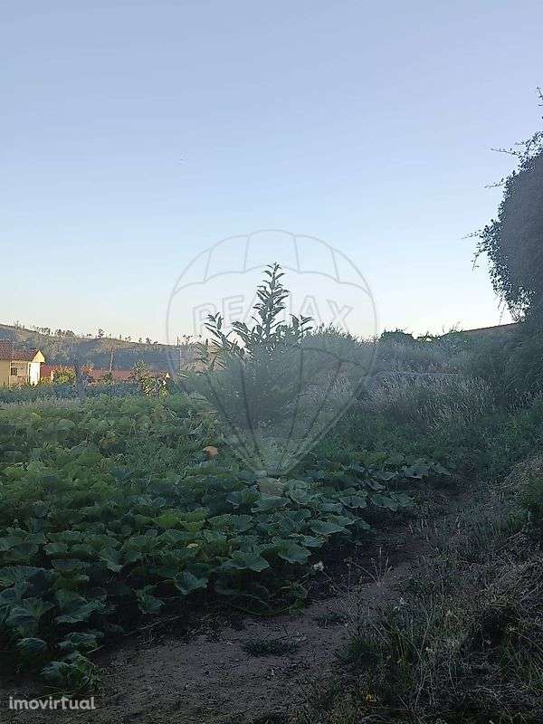 Terreno  para venda - Grande imagem: 3/5