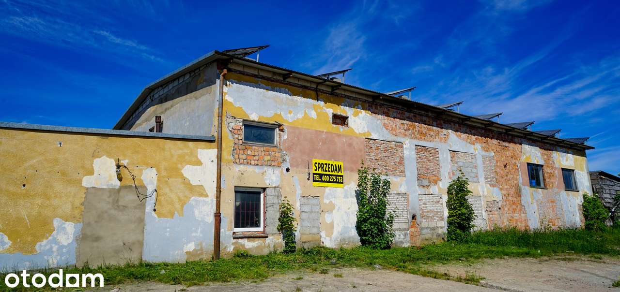 Budynek magazynowy z fotowoltaiką 509 m2 Człuchów - Pełny obrazek: 4/9