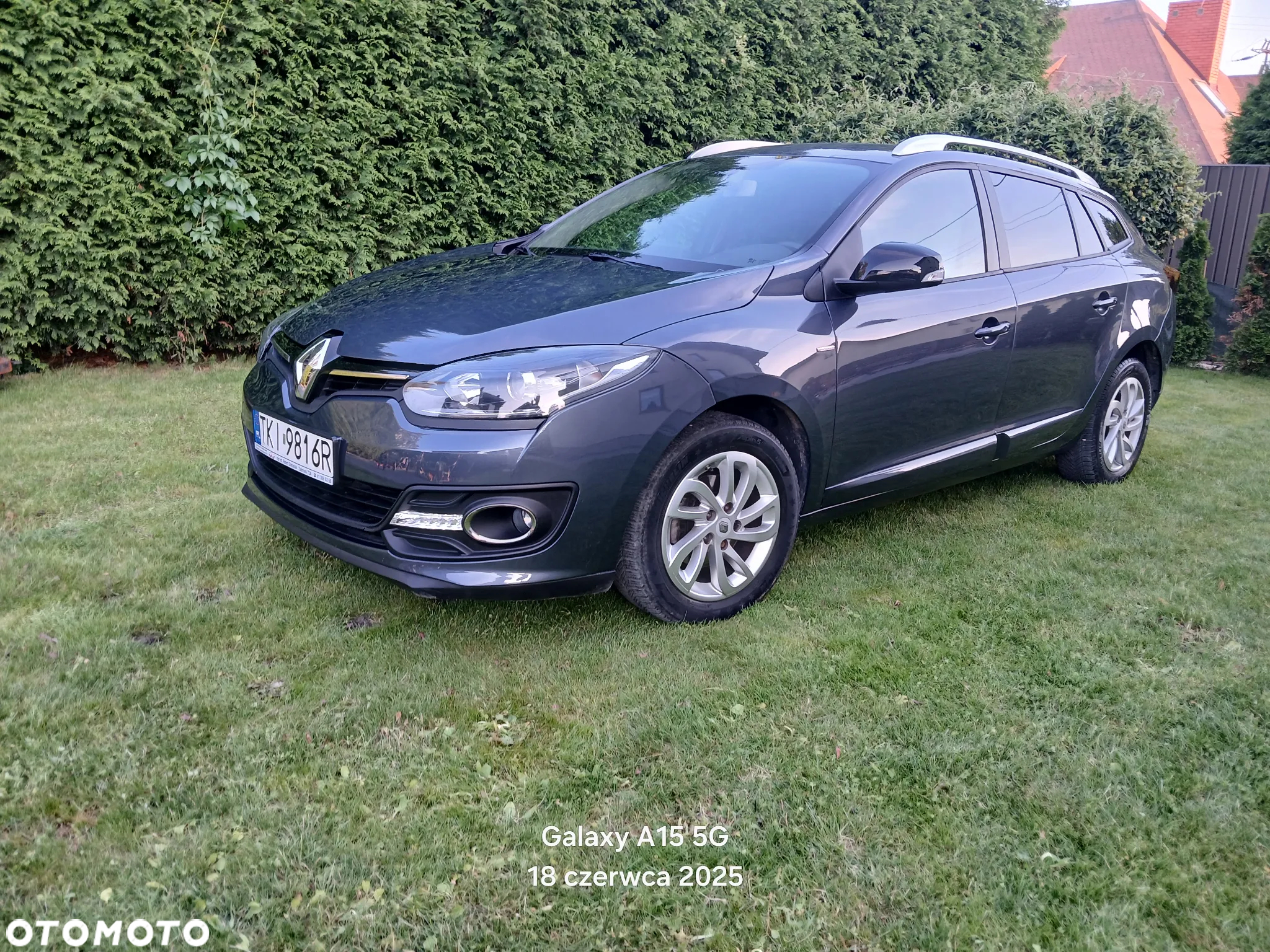 Renault Megane 1.2 16V TCe Energy Limited - 19