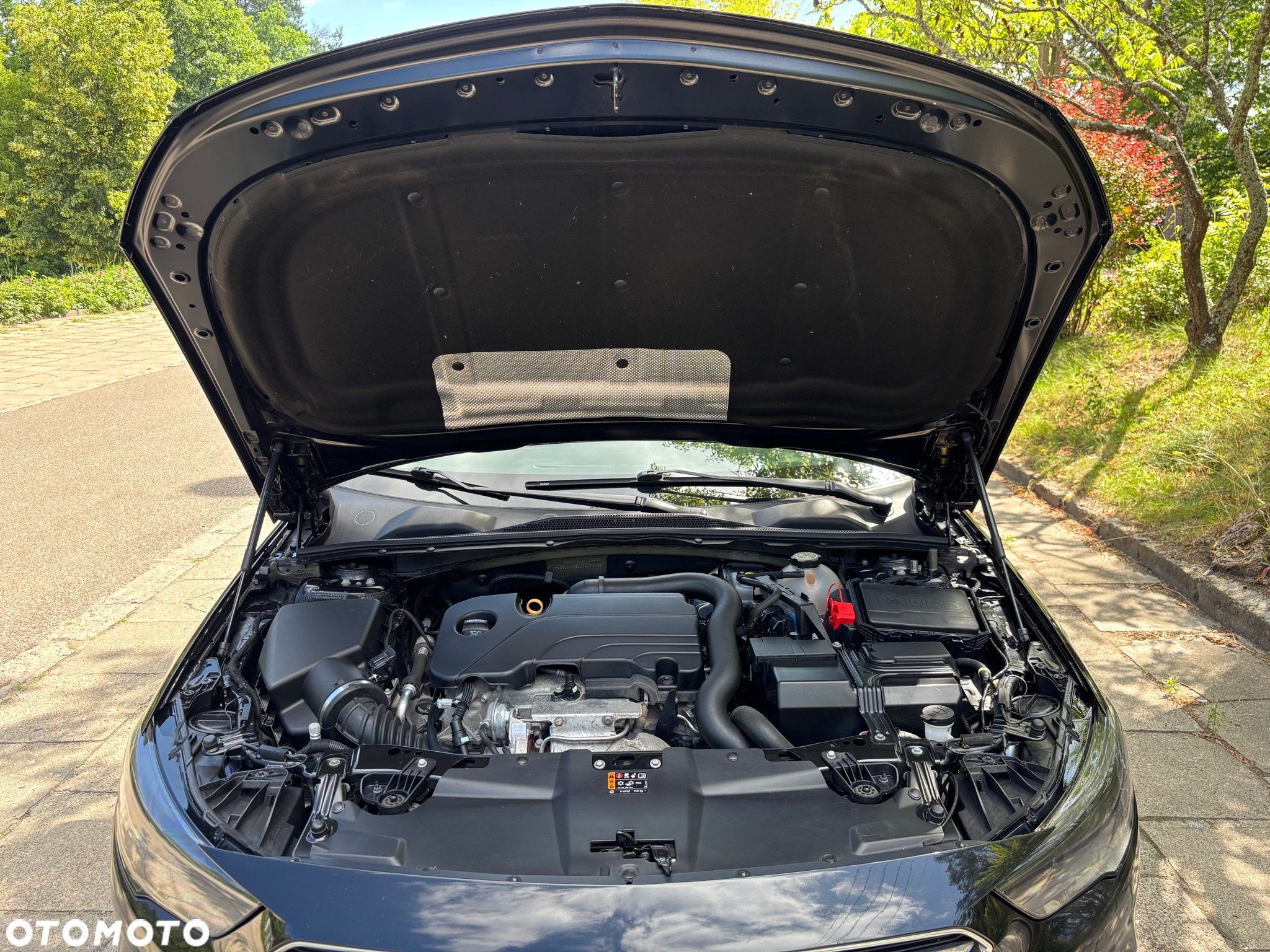 Opel Insignia 1.5 T Enjoy S&S - 19