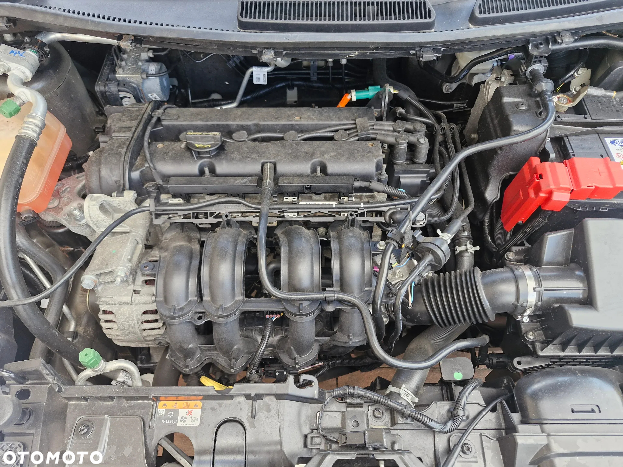 Ford Fiesta 1.25 Champions Edition - 26