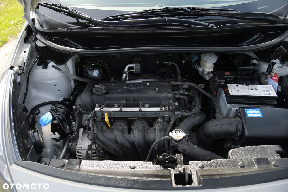 Kia Rio - 34