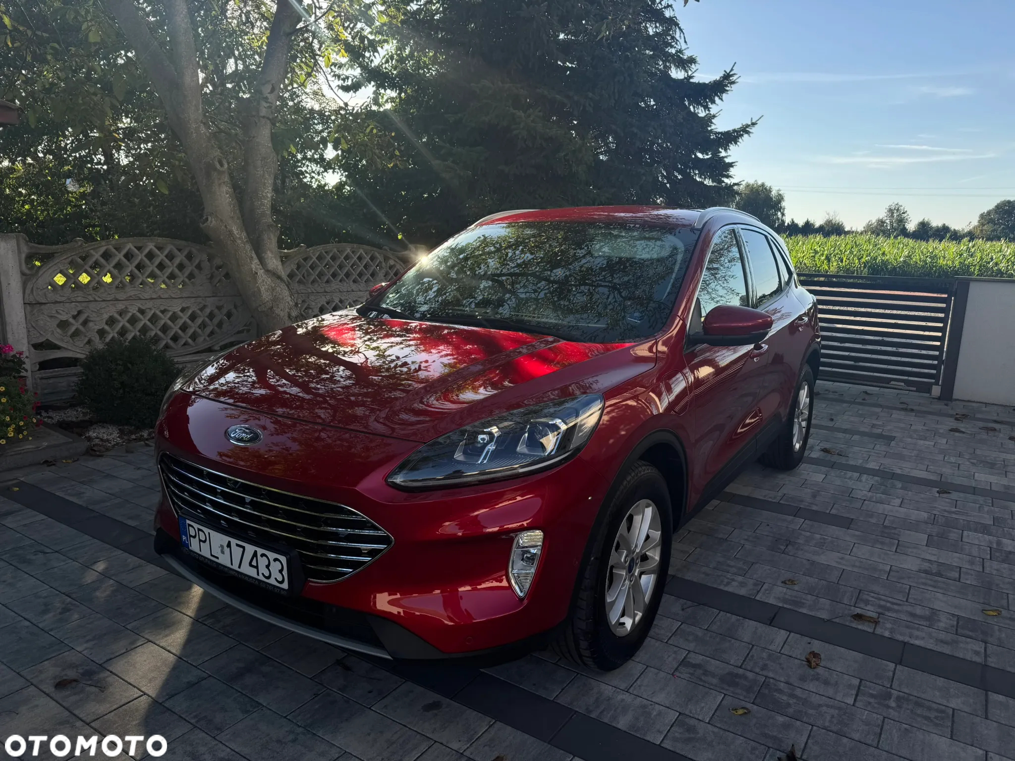 Ford Kuga 2.5P PHEV FWD Titanium - 5