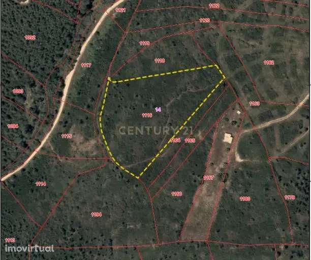TERRENO NA MALVEIRA DA SERRA - Grande imagem: 2/5
