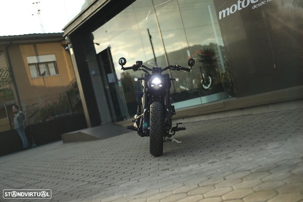 Benda Chinchilla 500 - 19