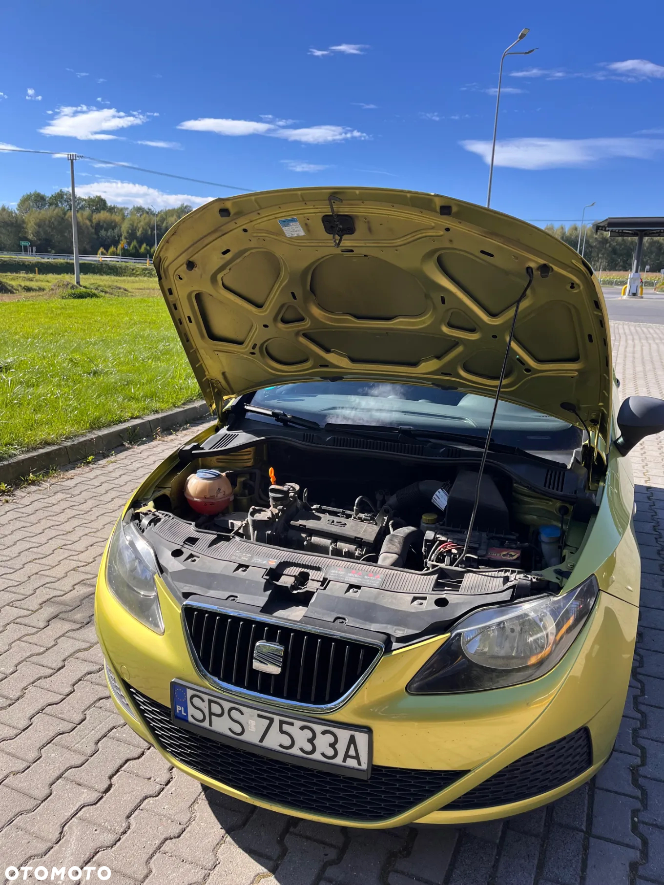 Seat Ibiza - 11