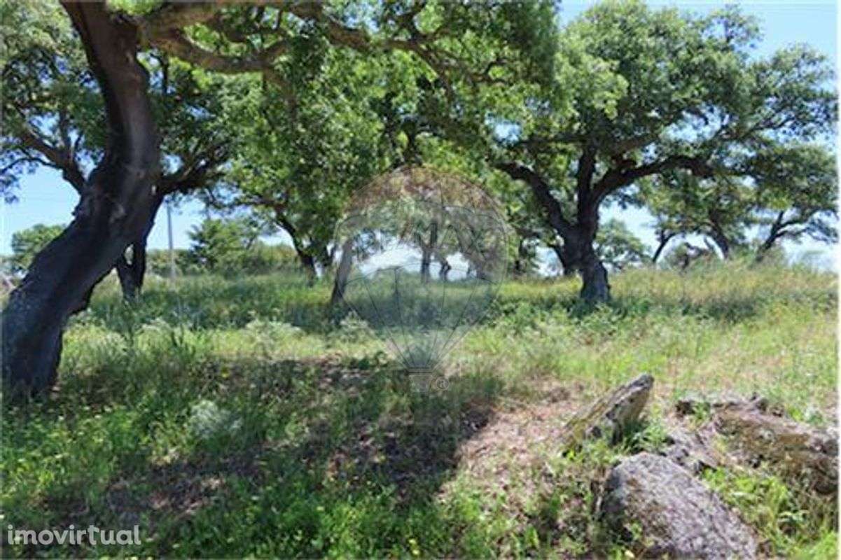 Quinta T0 para venda - Grande imagem: 2/18