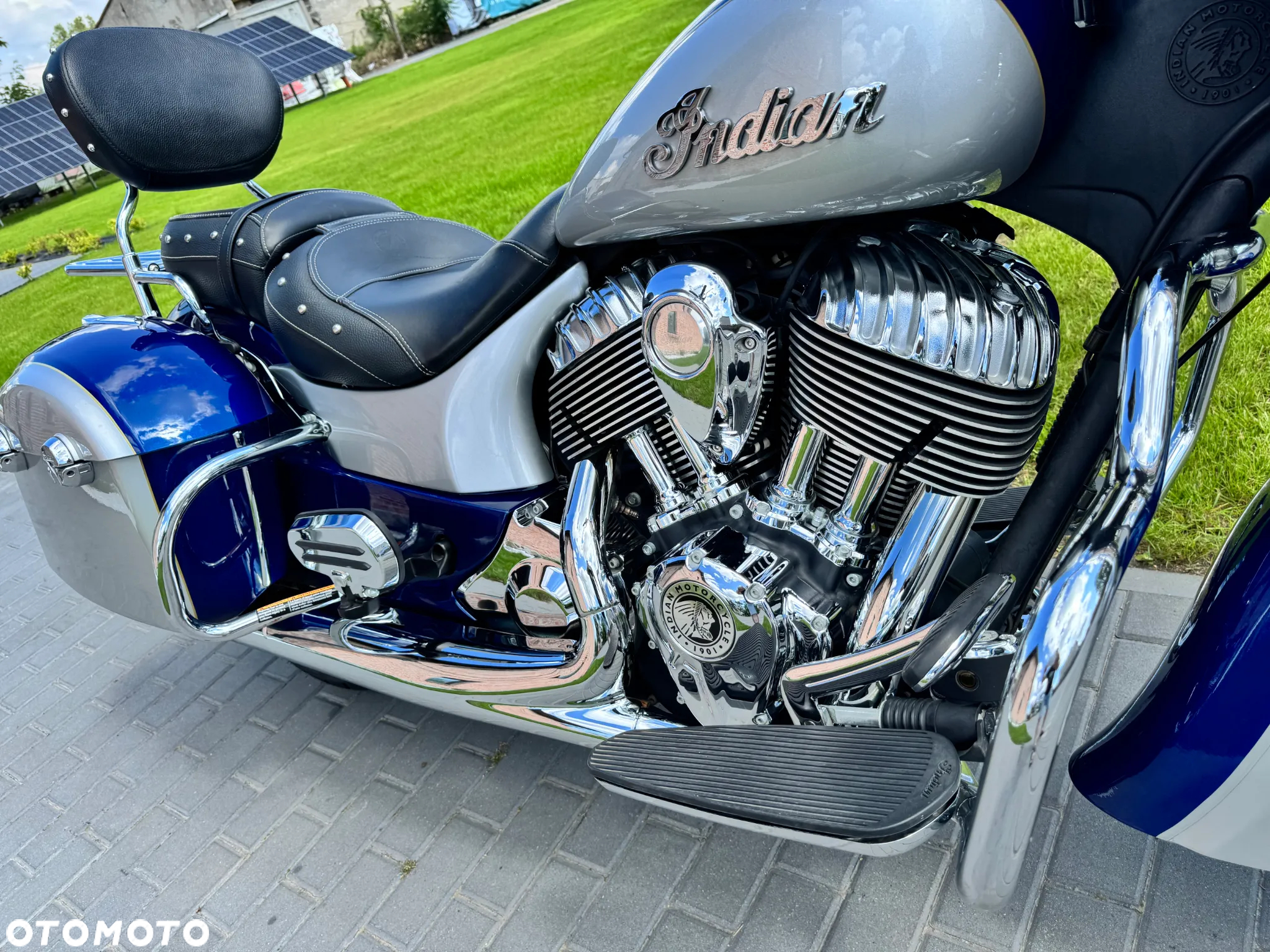 Indian Springfield - 15