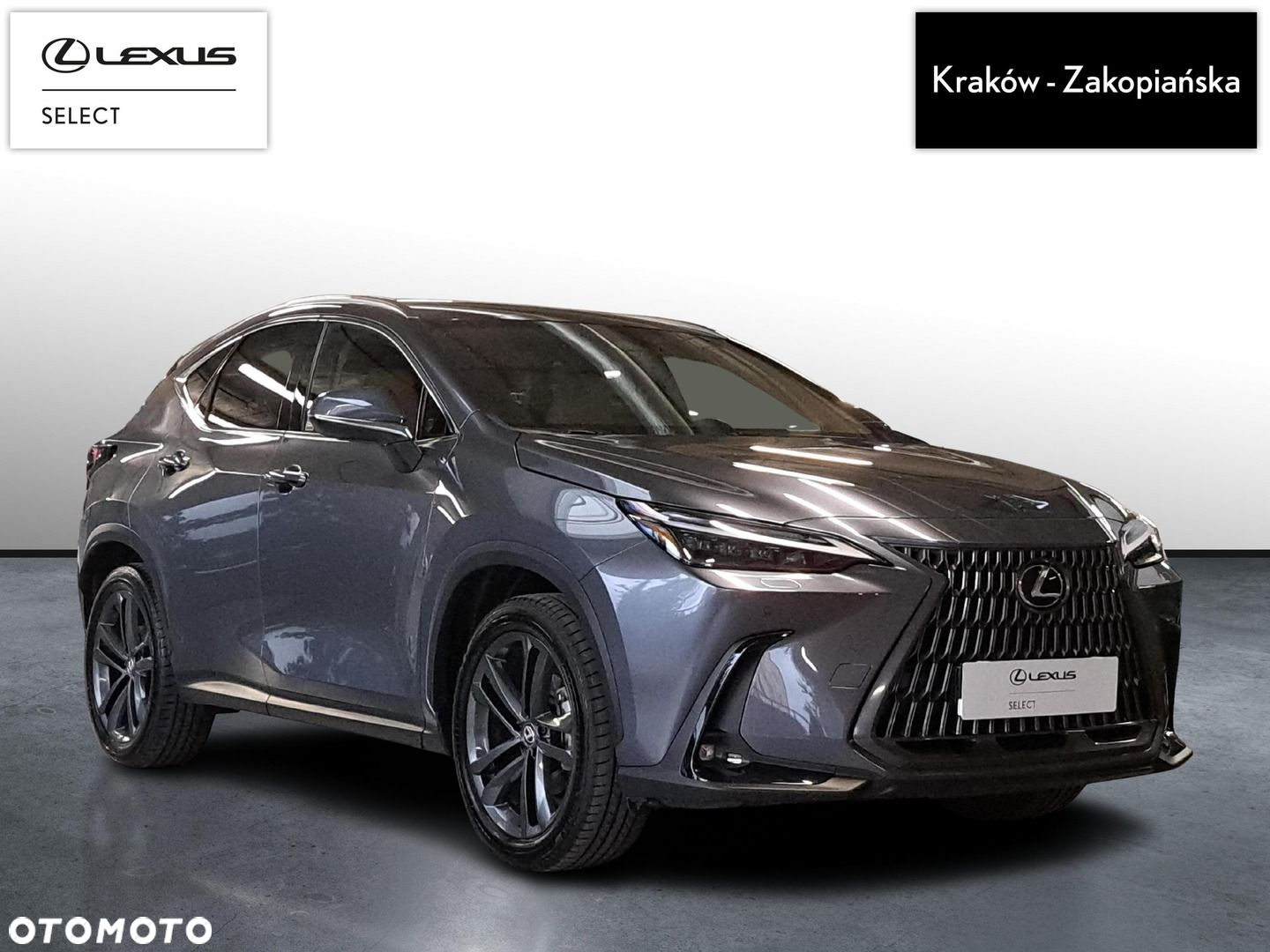 Lexus NX - 3