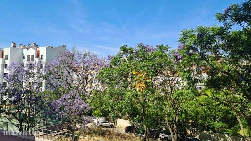 Apartamento T2 com garagem São Domingos Benfica - Grande imagem: 5/12