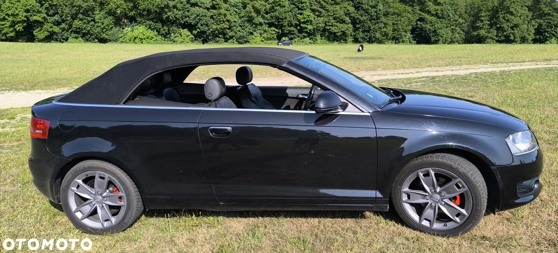 Audi A3 - 15
