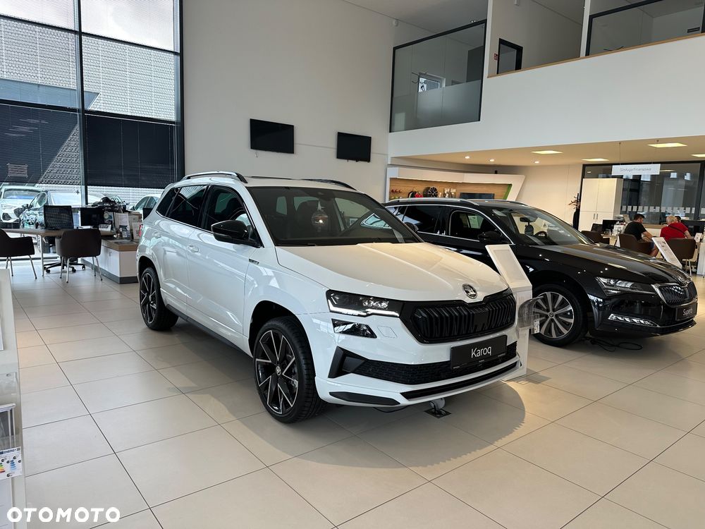 Skoda Karoq - 10