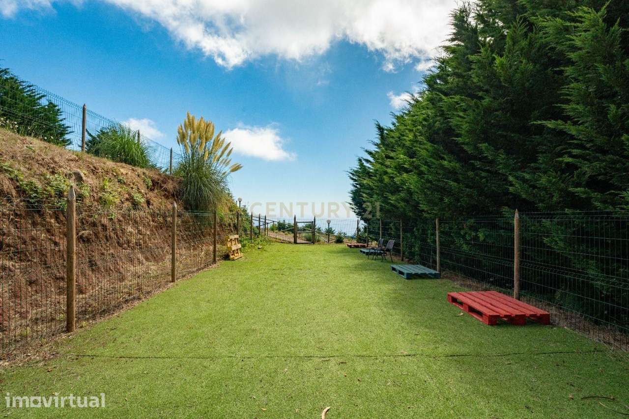 Terreno de 5.150 m² em São Gonçalo, Funchal - Excelente Oportunidade d - Grande imagem: 5/36