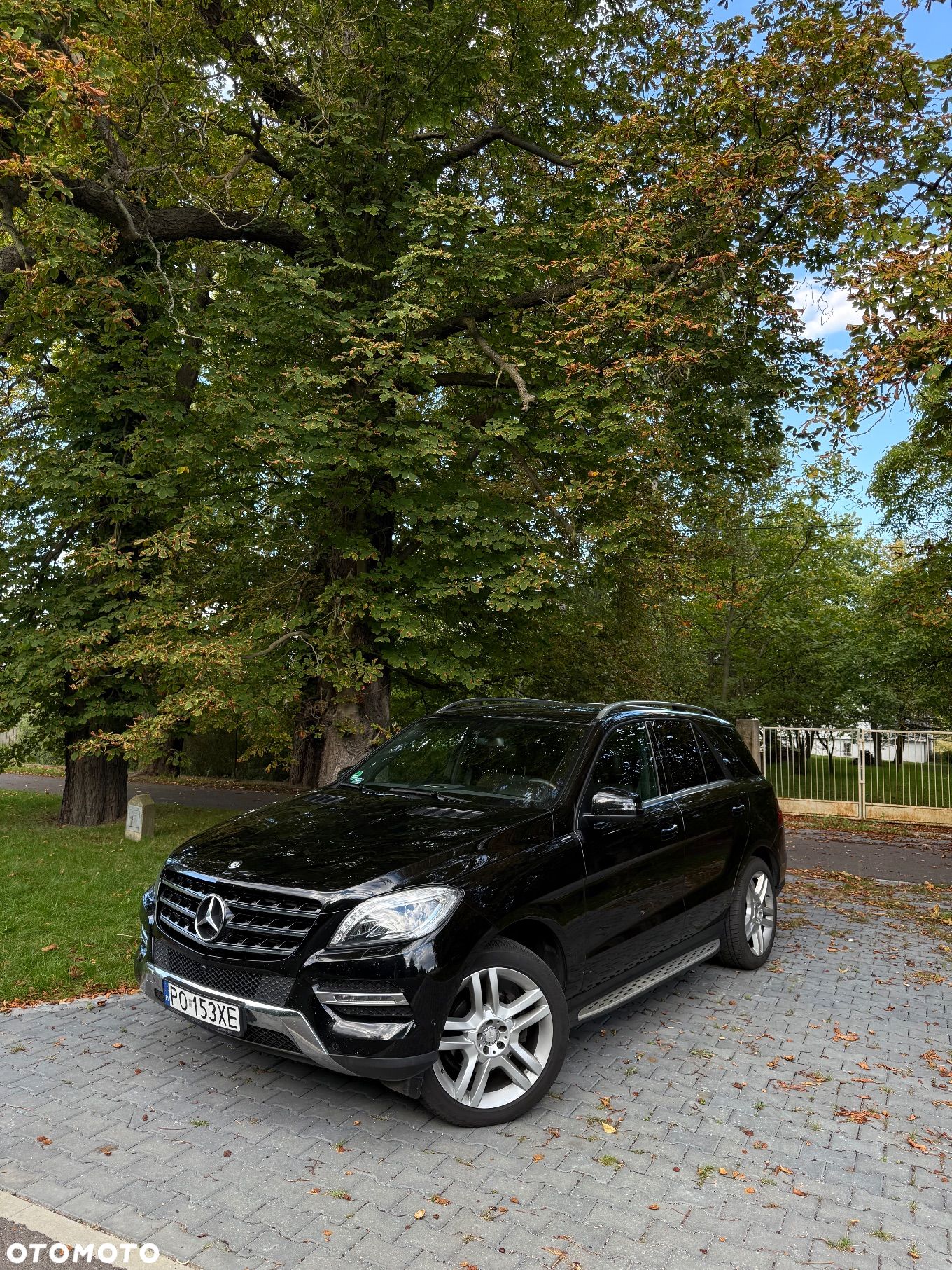 Mercedes-Benz ML 350 BlueTec 4-Matic - 1