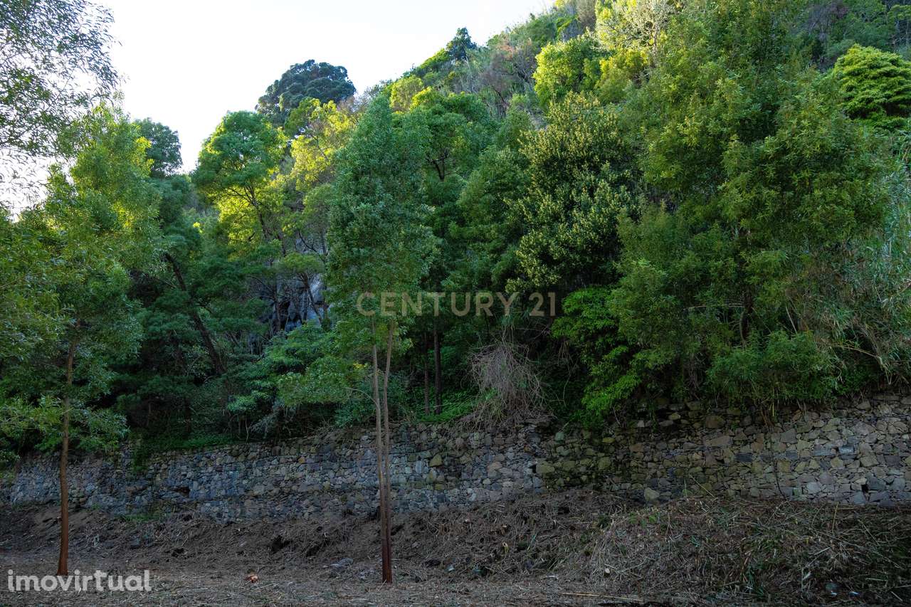 Lote para Construção com Vista Mar na Caloura – Lote Nº3 - Grande imagem: 5/33