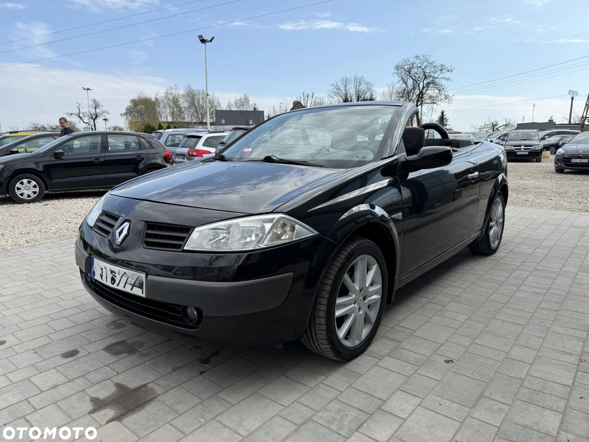 Renault Megane II 2.0 Luxe Privilege - 10