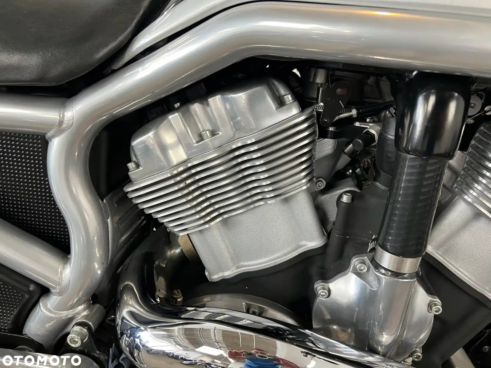 Harley-Davidson V-Rod Street Rod - 13
