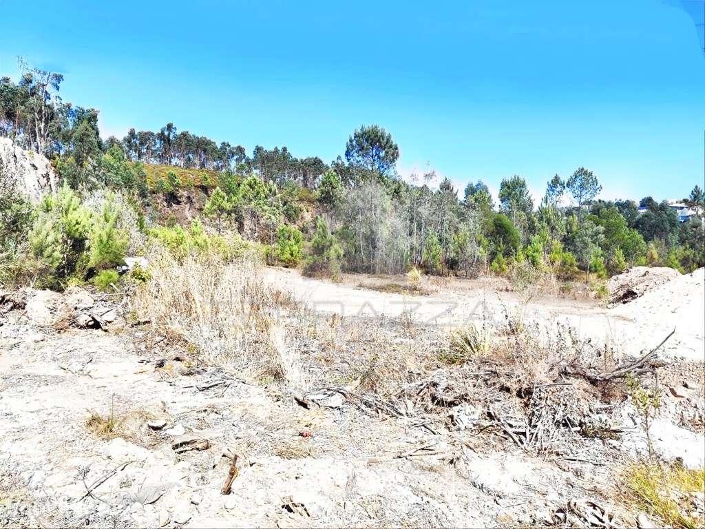 Terreno Industrial com 25.000 m² - Grande imagem: 4/5