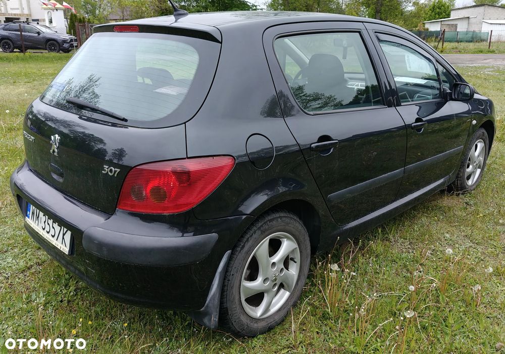 Peugeot 307 1.6 XS - 5