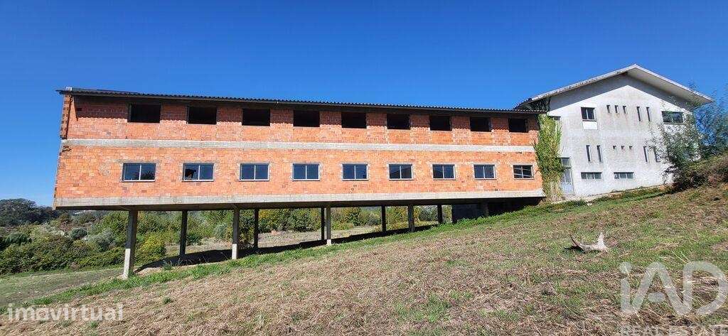 Prédio em Fermentelos de 2821,00 m2 - Grande imagem: 3/30