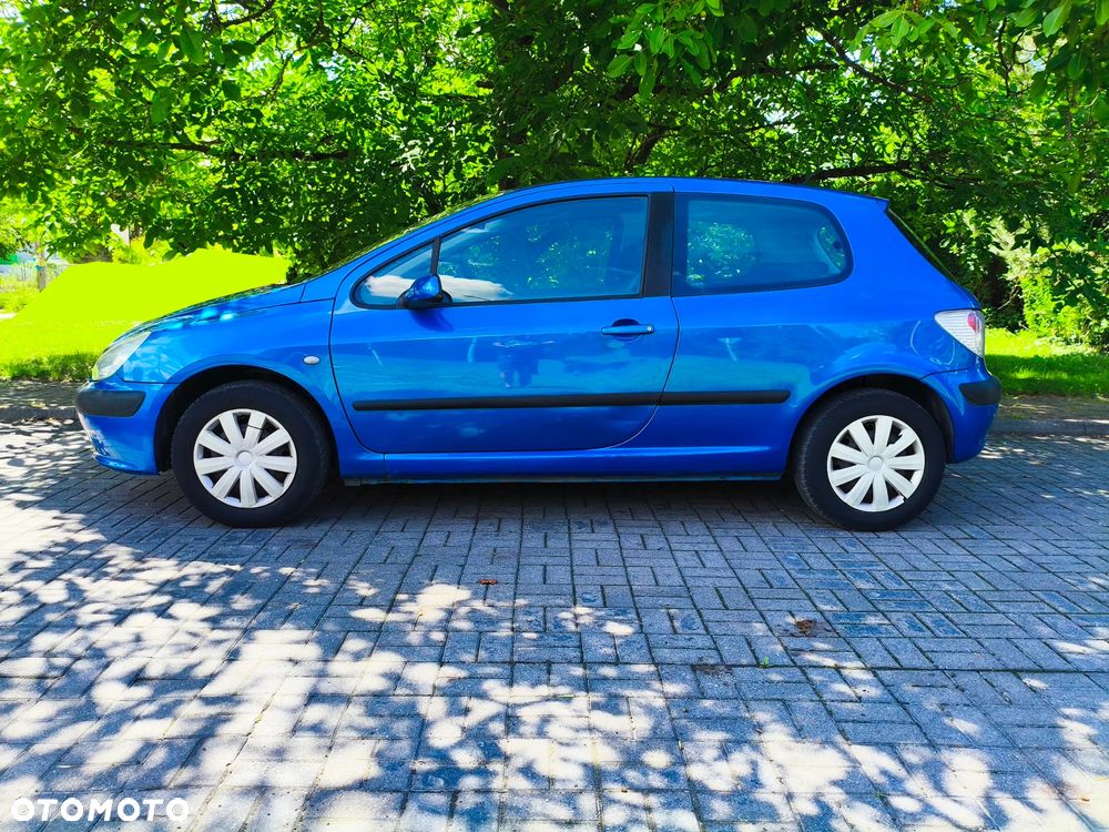 Peugeot 307 1.6 XS - 4