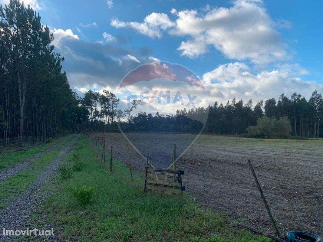 Terreno  para venda - Grande imagem: 3/13