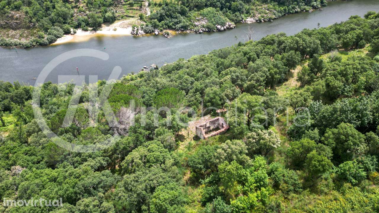 Quinta do Vale - Marco Canaveses - Grande imagem: 3/9