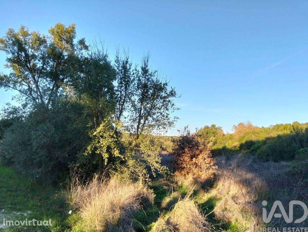 Terreno em Almoster - Grande imagem: 4/30