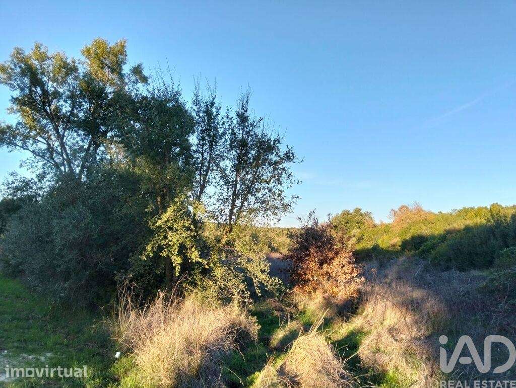 Terreno em Almoster - Grande imagem: 4/30