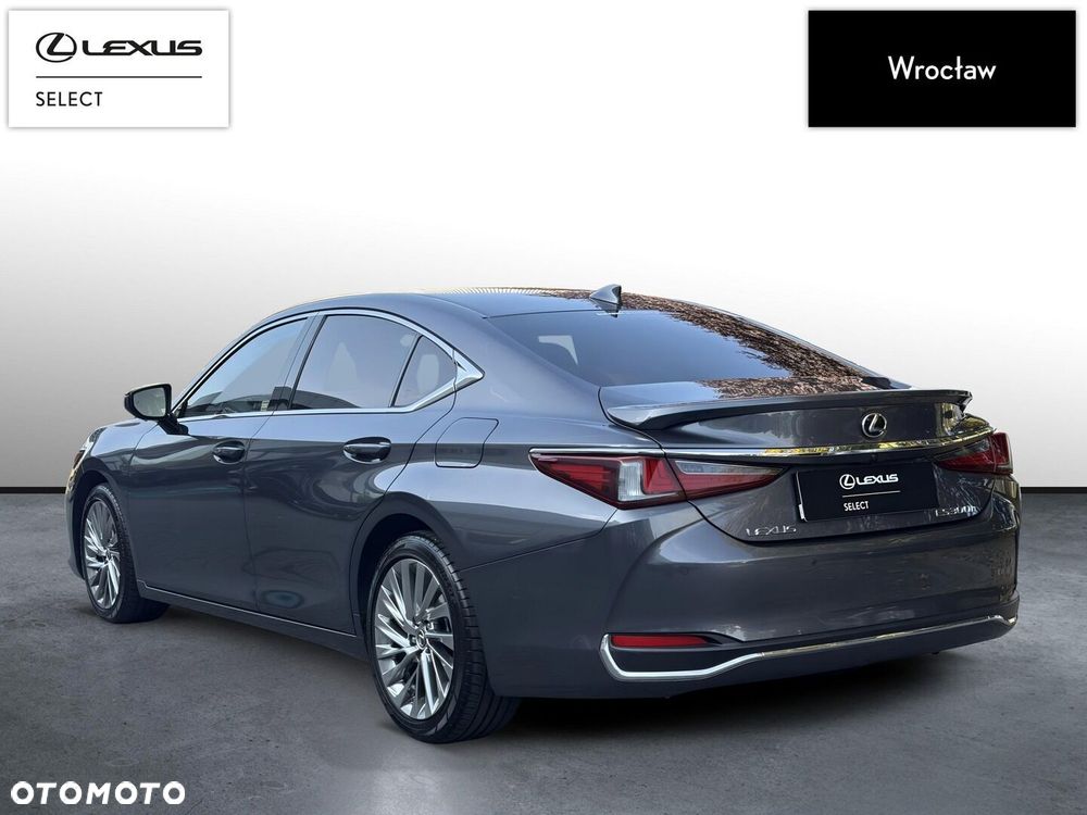 Lexus ES 300h Omotenashi - 4