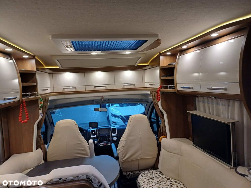 Carthago carthago - 4