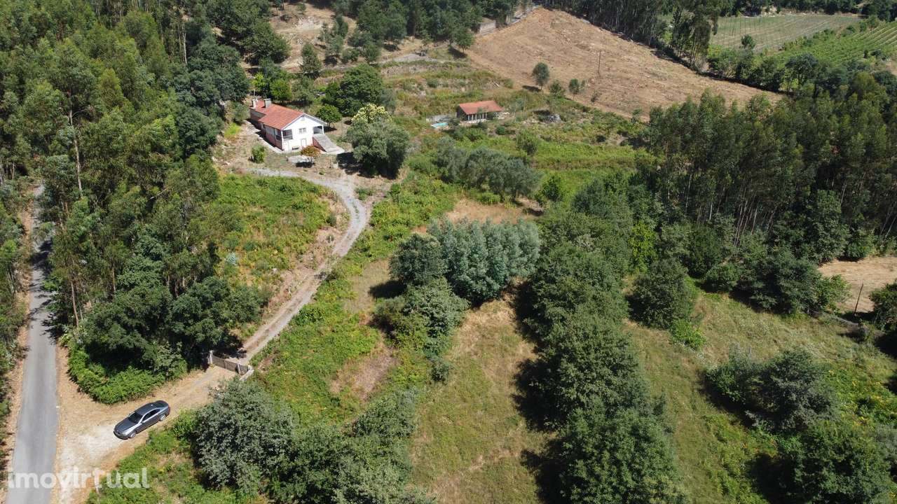 Quinta com cerca de 10.000m2 em Anais - Grande imagem: 3/20