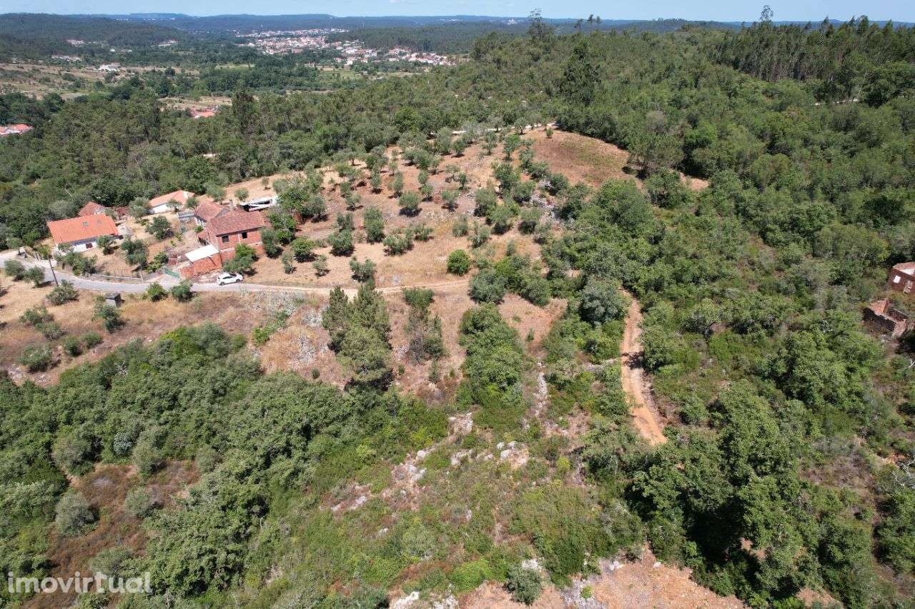 Terreno Rústico 3 minutos da Praia Fluvial do Agroal - Grande imagem: 2/13